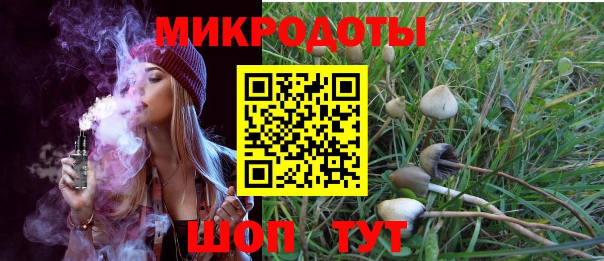 Псилоцибиновые грибы Psilocybe Кореновск