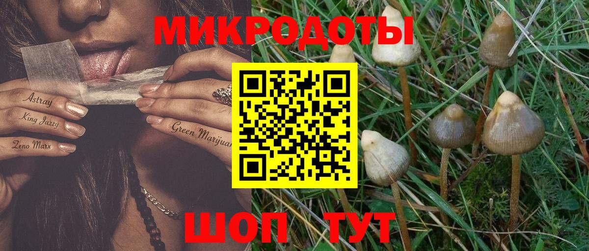 Псилоцибиновые грибы мухоморы  Вход с VPN  Кореновск  Псилоцибиновые грибы Psilocybe 